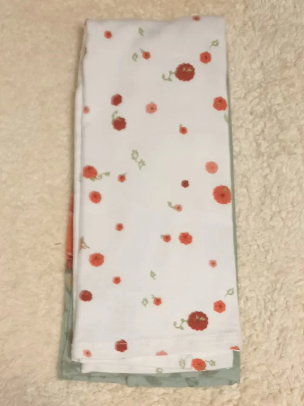 NWT ~ Celebrate Together  Autumn Decorative Kitchen Towels,  Set of 2